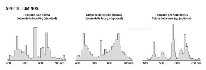 Lampade Fluora Arabidopsis camere climatiche di crescita Binder KBW KBWF