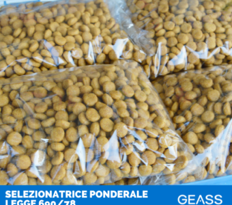Case History selezionatrice ponderale legge 690 - GEASS Torino