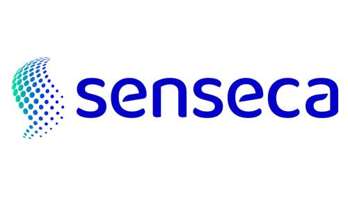 Logo Senseca Delta Ohm