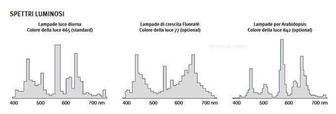 Lampade Fluora Arabidopsis camere climatiche di crescita Binder KBW KBWF