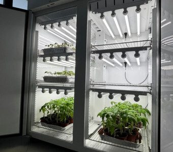 Installazione di GEASS per l'Università Federico II delle camere climatiche Aralab