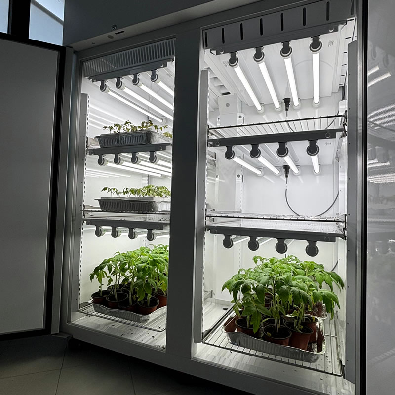 Installazione di GEASS per l'Università Federico II delle camere climatiche Aralab