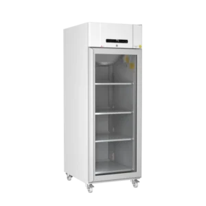 Frigorifero da laboratorio Gram Biocompact II RR610 LG 11, a incasso, porta a vetro, per la conservazione sicura di campioni e reagenti - geass.hidoly.dev