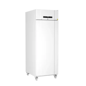 Frigorifero da laboratorio Gram Biocompact II RR610 LG 10, per la conservazione sicura di farmaci e campioni - geass.hidoly.dev