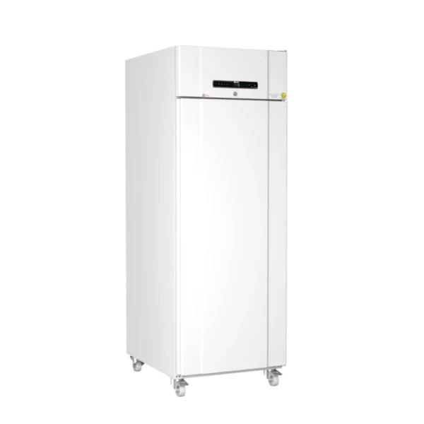 Frigorifero da laboratorio Gram Biocompact II RR610 LG 10, per la conservazione sicura di farmaci e campioni - geass.hidoly.dev